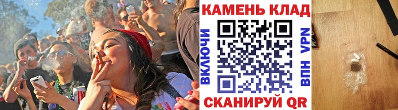 ГАШ Premium Куртамыш