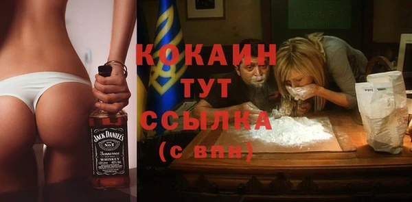 гашик Наволоки