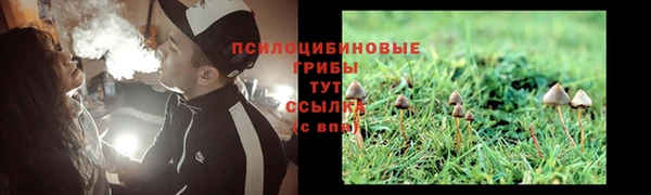 крисы Абаза