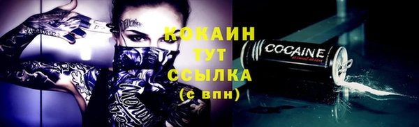 крисы Абаза