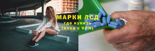 крисы Абаза