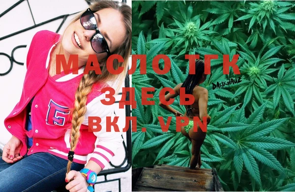 крисы Абаза