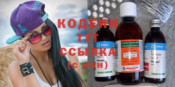 крисы Абаза
