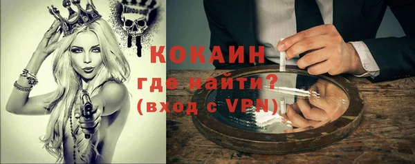 крисы Абаза